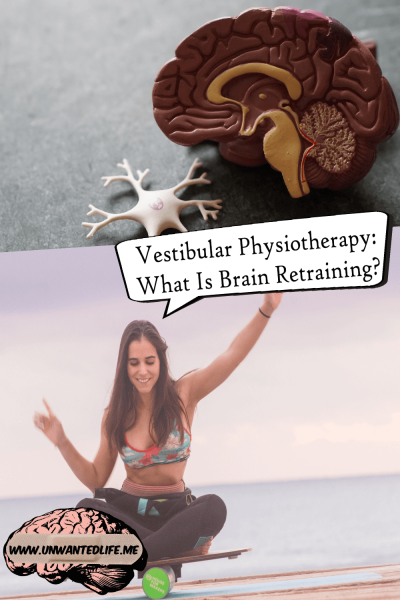 The picture is split in two with the top image being of a model of a brain and the bottom image being of a white woman sitting and balancing on a yoga balance board with a speech bubble coming from her that says - Vestibular Physiotherapy: What Is Brain Retraining?