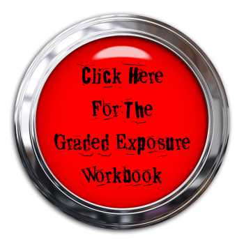 A picture of a button you need to press to download the Graded Exposure Workbook (CBT) in PDF