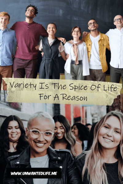 The picture is split in two with the top image being of a  group of people from different ethnic groups and gender standing arm in arm in a line. The bottom image being of a group of women of different ethnic groups walking through a city. The two images are separated by the article title - Variety Is The Spice Of Life For A Reason