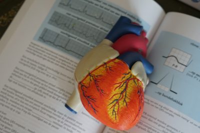 An anatomical heart resting on a medical textbook