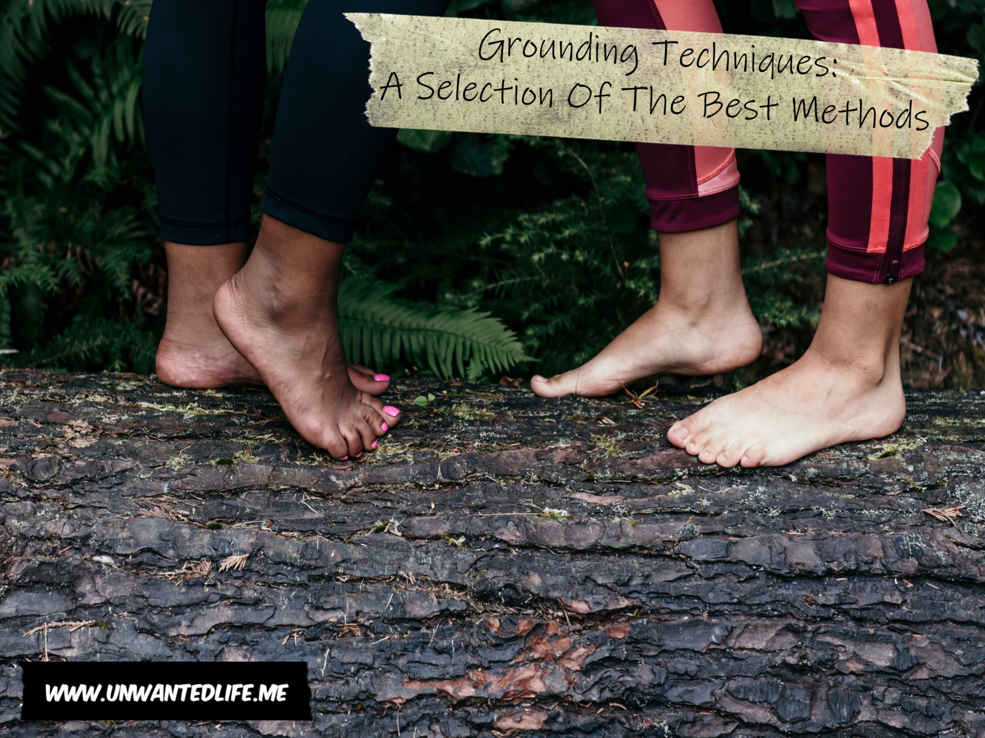 A photo of Black woman and A White woman standing bare foot on a fallen tree trunk to represent the topic of the article - Grounding Techniques: A Selection Of The Best Methods