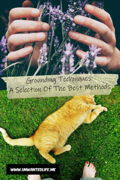 The picture is split in two with the top image being of a person running their hands through some flowers. The bottom image being of a persons feet, standing on the grass with a golden tabby cat laying in front of them. The two images are separated by the article title - Grounding Techniques: A Selection Of The Best Methods