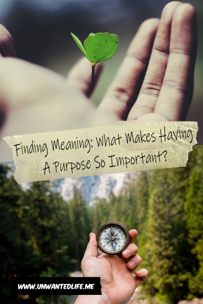 The picture is split in two, with the top image being of a persons hand holding a small green plant. The bottom image being of a person who holding a compus in the woods. The two images are separated by the article title - Finding Meaning: What Makes Having A Purpose So Important?