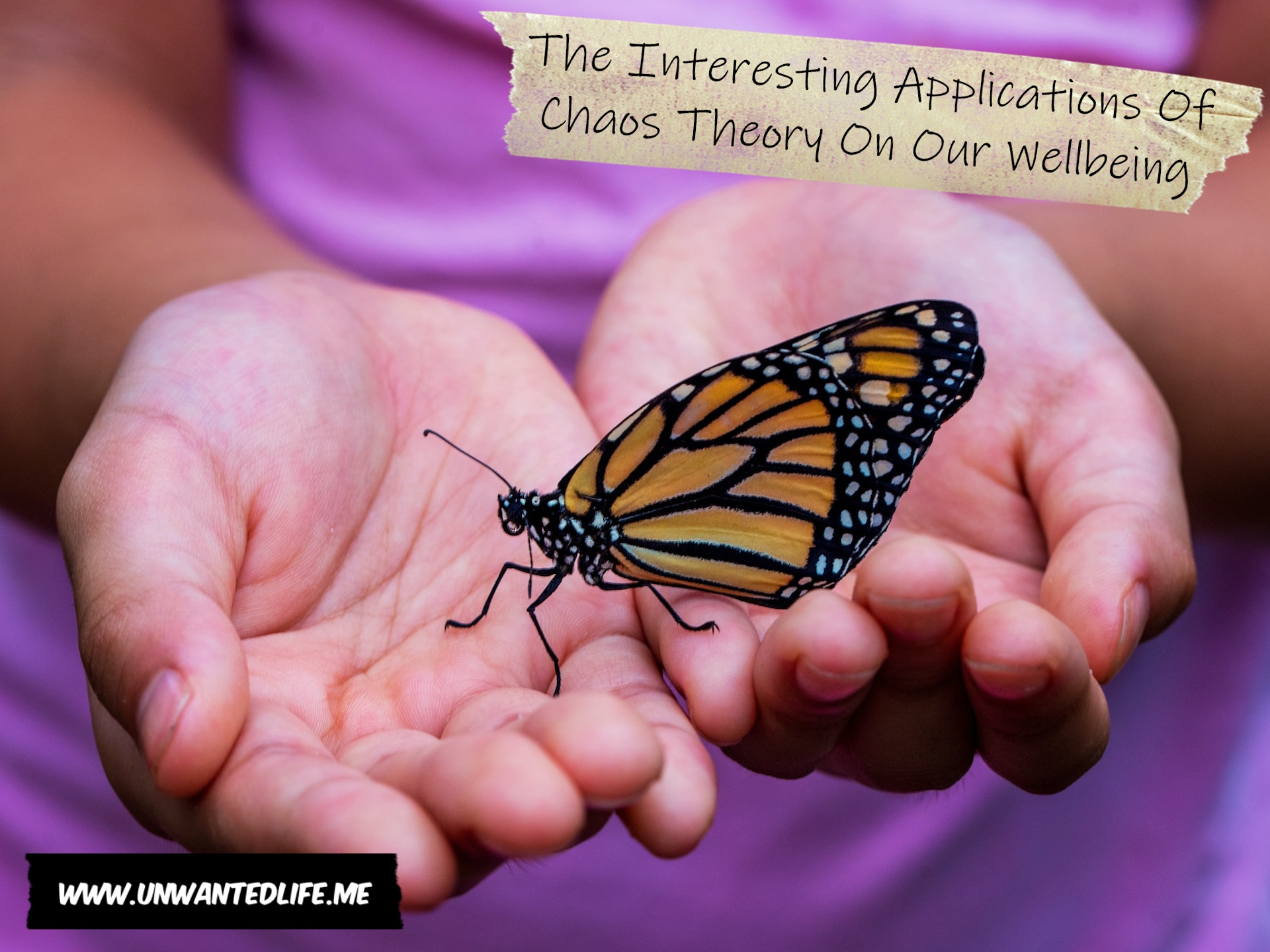 A photo of a Black child holding a butterfly in their hands to represent the topic of the article - The Interesting Applications Of Chaos Theory On Our Wellbeing