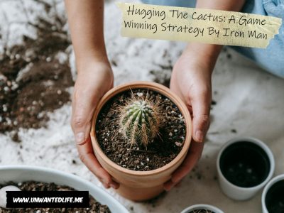 A photo of someone holding a potted cactus to present the topic of the article -Hugging The Cactus: A Game Winning Strategy By Iron Man