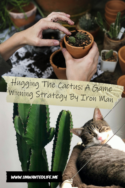 The picture is split in two, with the top image being of a someone planting cactuses. The bottom image being of a cat lounging near a potted cactus. The two images are separated by the article title - Hugging The Cactus: A Game Winning Strategy By Iron Man