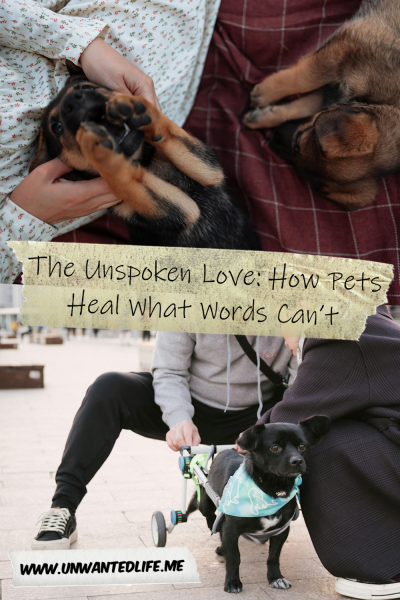 The picture is split in two, with the top image being of a couple of puppies laying on a blanket and being stroked. The bottom image being of a two people putting their dog into it's doggy wheelchair. The two images are separated by the article title - The Unspoken Love: How Pets Heal What Words Can’t