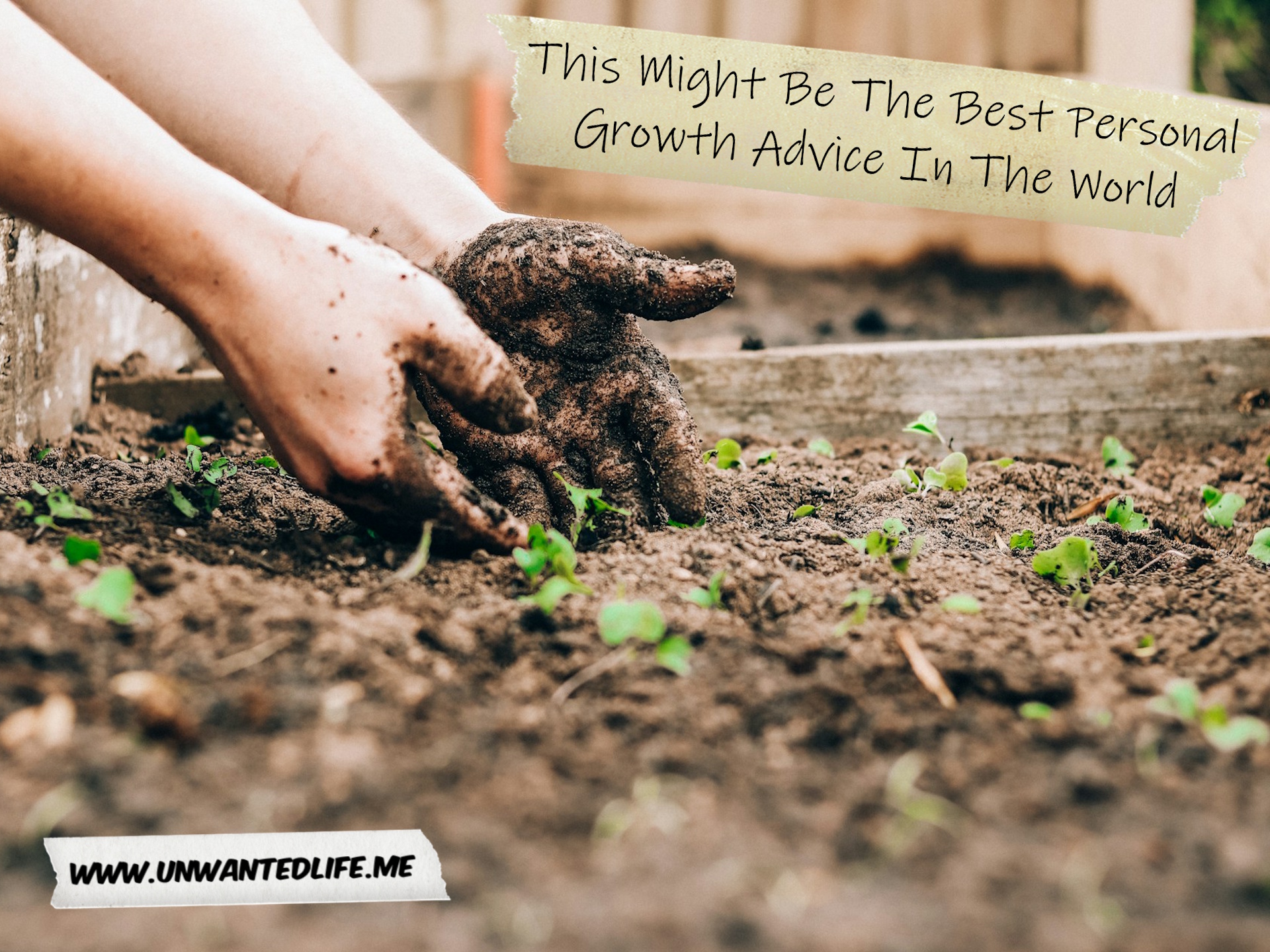 A photo of someone tending to some seedlings in their garden to represent the topic of the article - This Might Be The Best Personal Growth Advice In The World