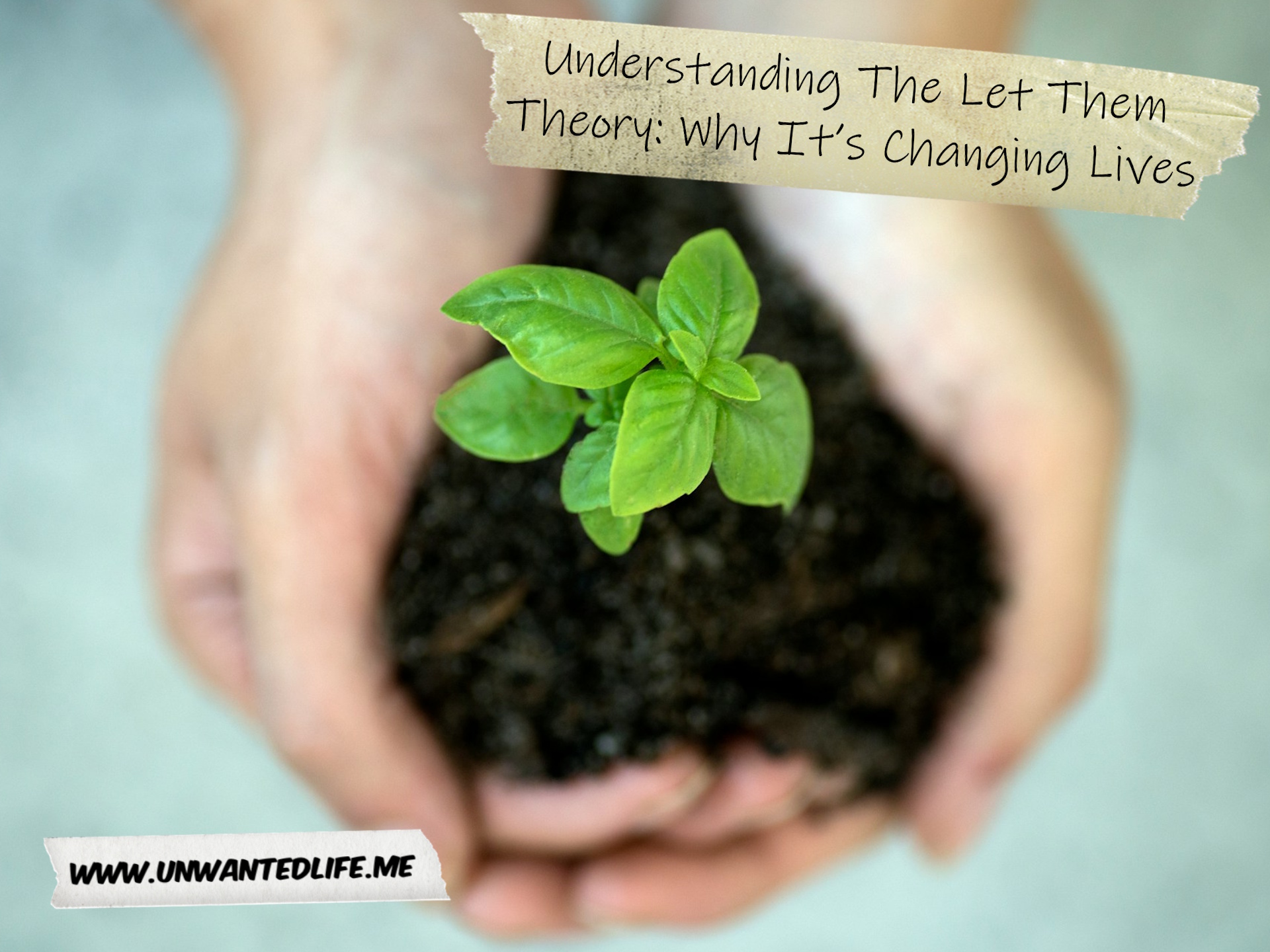 A photo of someone with their hands full of soil with a sprouting plant growing out of it to represent the topic of the article - Understanding The Let Them Theory: Why It’s Changing Lives