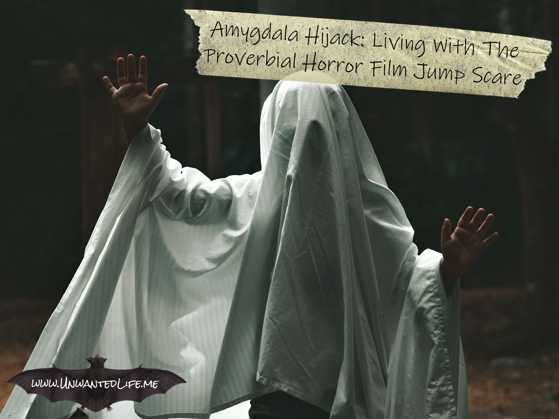 An image of someone dressed in a sheet and trying to be a cary ghost to reflect the topic of the article - Amygdala Hijack: Living With The Proverbial Horror Film Jump Scare